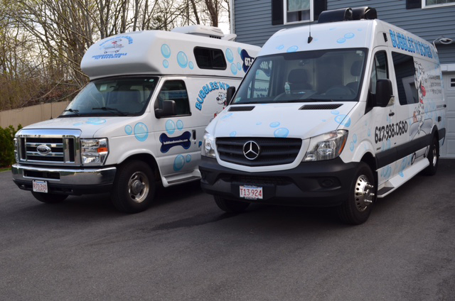 Mobile Grooming Van 5