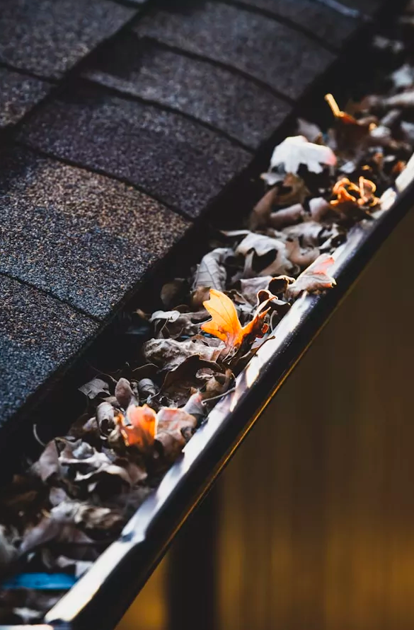 Gutter Cleaning & Repairs
